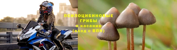трава Семикаракорск